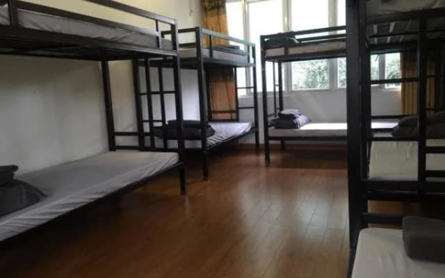 Meow Hostel - photo 2