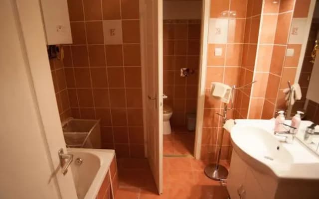 Buda Rose - photo 5