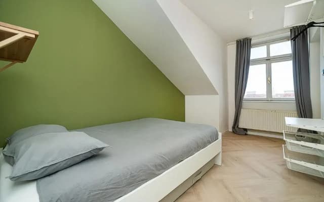 Big 4-bedroom flat, terrace with great Vítkov view - photo 4