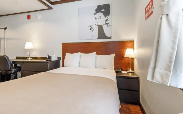 LIC Hotel - photo 5