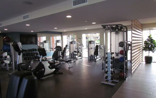 Apartment with Full Amenities - Miracle Mile - photo 5