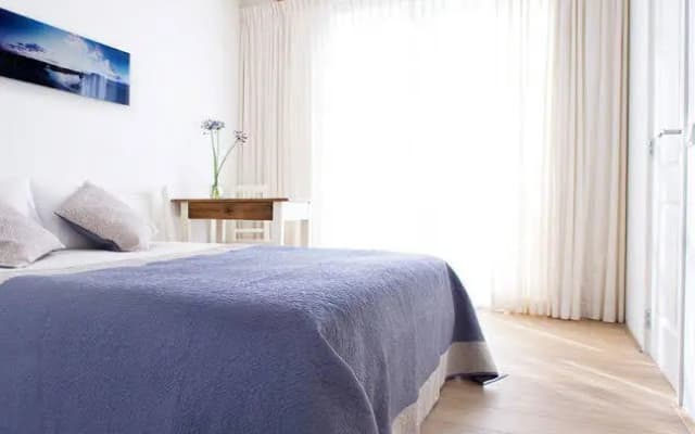 BedonBoard - photo 2