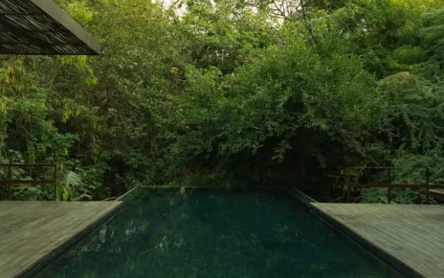 ANVAYA - photo 2