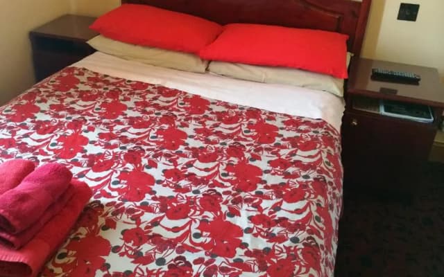 Bellevue Guest House - photo 5