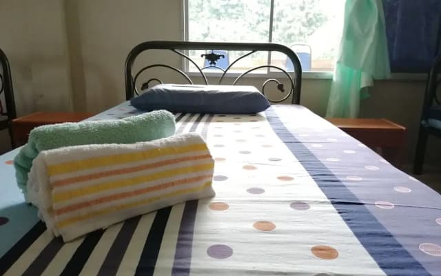 Mulu Diana Homestay - photo 3