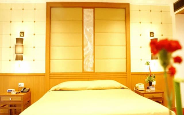 Royal Twins Palace Hotel - photo 2