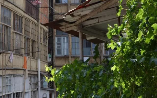 Dadiani12 - photo 3