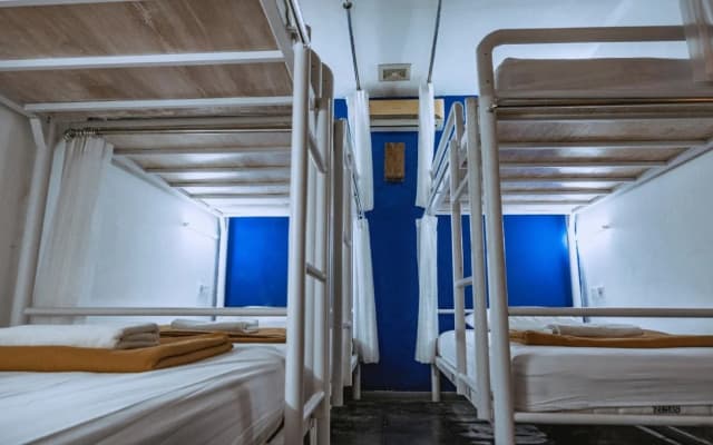 Cozy Bobo Hostel - photo 4