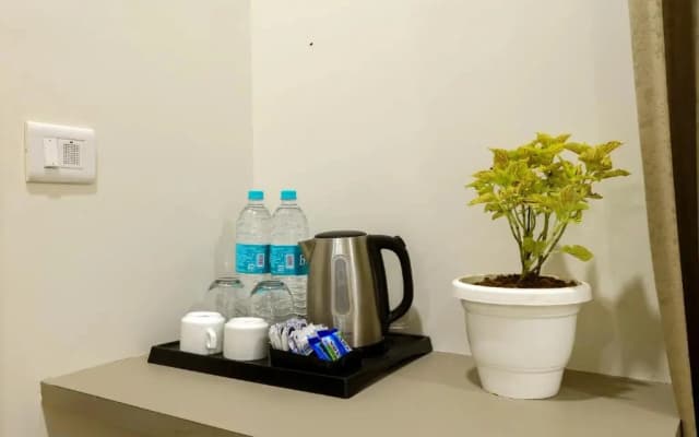 OPO Essential Rodali - photo 5