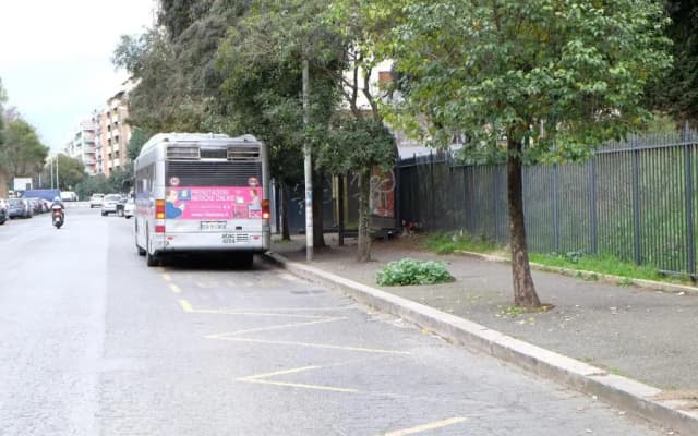 Terrazza sul Parco - photo 2