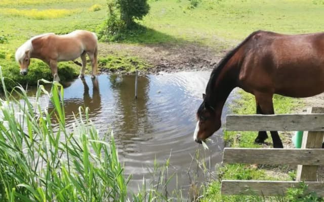 HOMESTEAD Amsterdam - photo 2