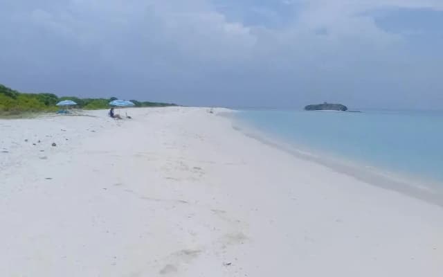 Veli Inn - photo 4