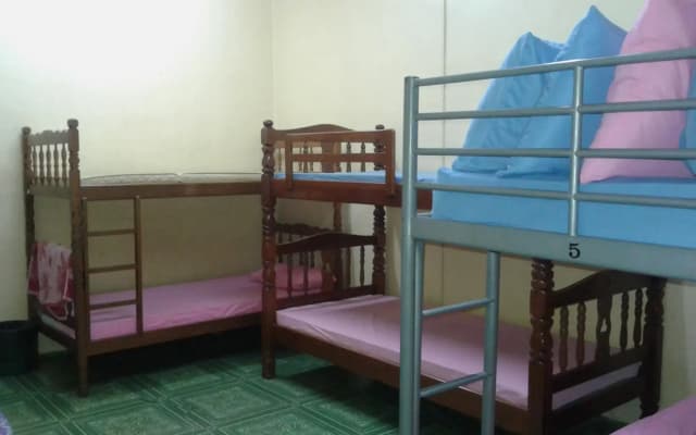 Zeeadam Backpackers - photo 3
