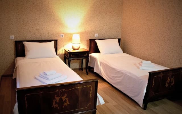 Twins Guesthouse - photo 3