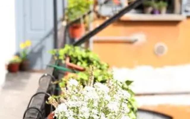 Lovelyloft Navigli - Gelsomino - photo 2