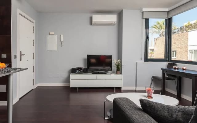 Roomspace Plaza Castilla Apartments - photo 3