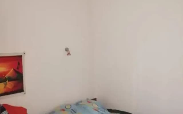 Temo S Home - photo 2