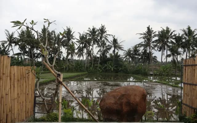 Kose Villa Ubud - photo 2