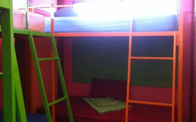 Elephant Retirement Hostel - photo 2