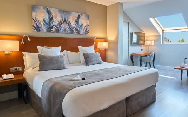 Hotel Puerta de Toledo - photo 4