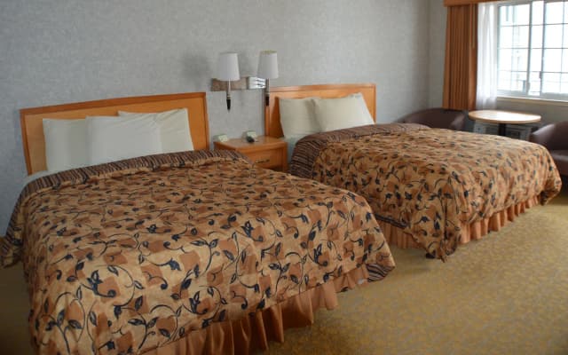 Castle Inn - photo 4