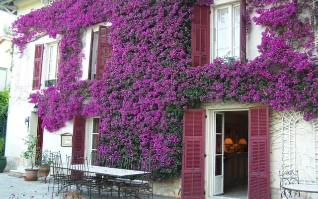 Castel Enchanté - photo 4