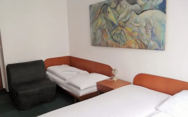 Elen's Hotel Arlington Prague - photo 5
