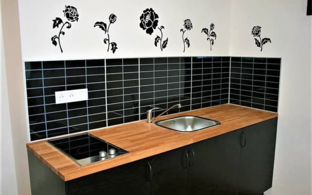 Reznicka Apartments - photo 4