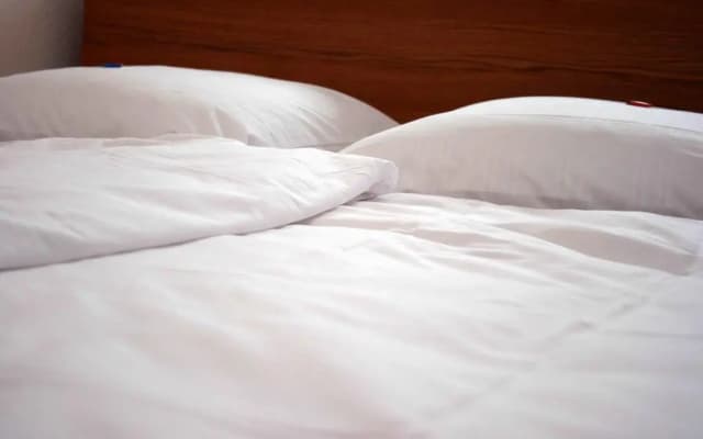Apartment-Westend - photo 4