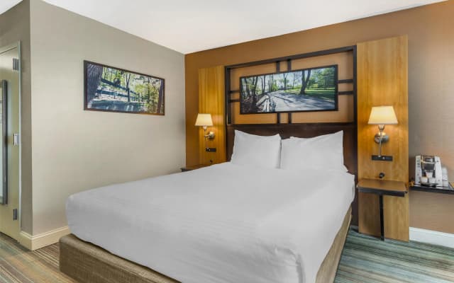 Best Western Queens Gold Coast - photo 4