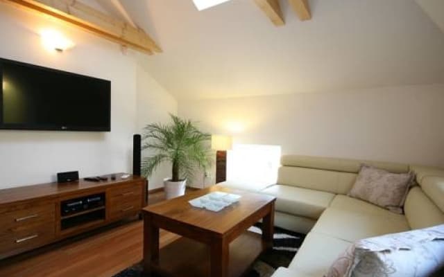 Apartment Attic Olivova - photo 2