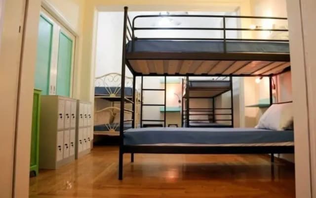 Chameleon Youth Hostel - Hostel - photo 4