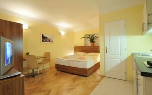 U Zlate Podkovy Apartments - photo 2