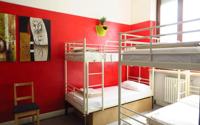 Koala Hostel - photo 4