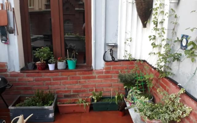 Salve veranda - photo 4