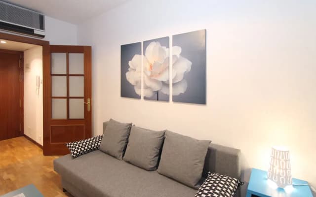 Apartamentos Castilla Luz 2 - photo 2