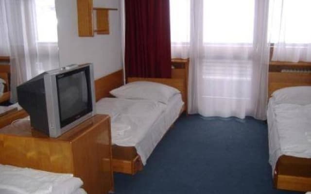 Budai Sport Hotel - photo 3
