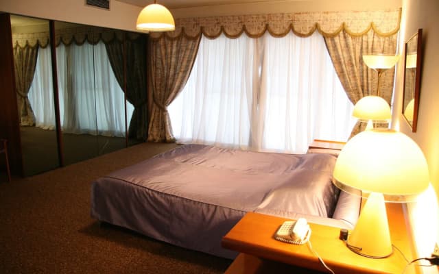 Royal Maadi Hotel - photo 4