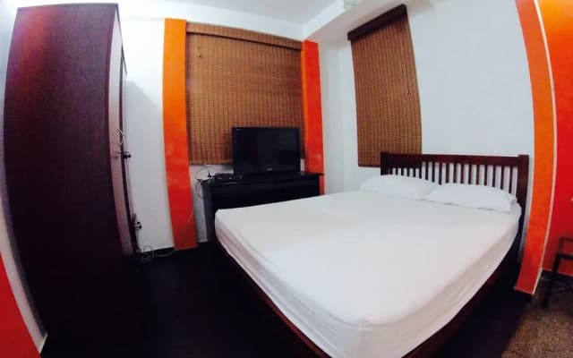 Colombo Haven - photo 4