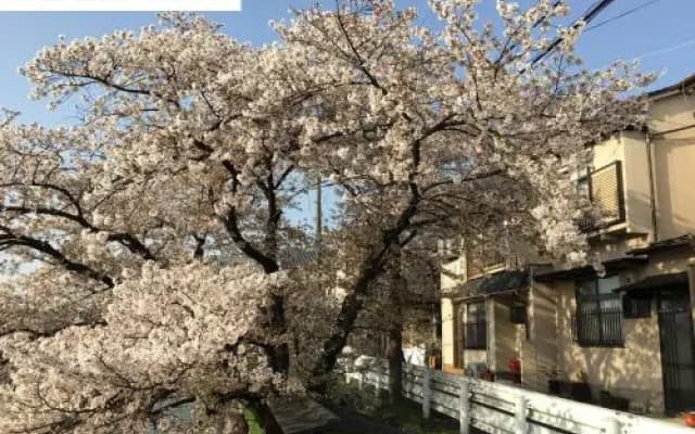 Aoi-Riverside Old Townhouse - photo 2
