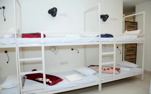 The Charlie's hostel - photo 3