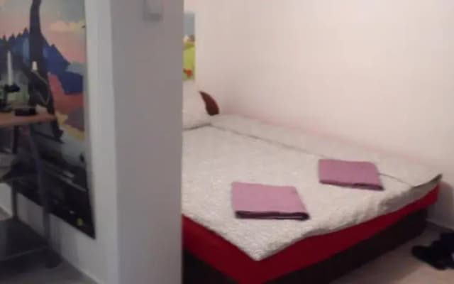 Minigarzon II - photo 5