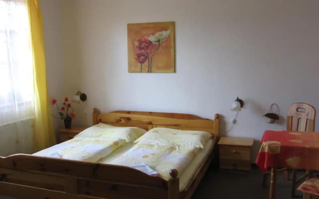 Pension Trojská - photo 2