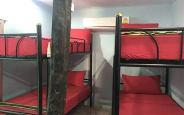 Funny Moon Hostel - photo 5