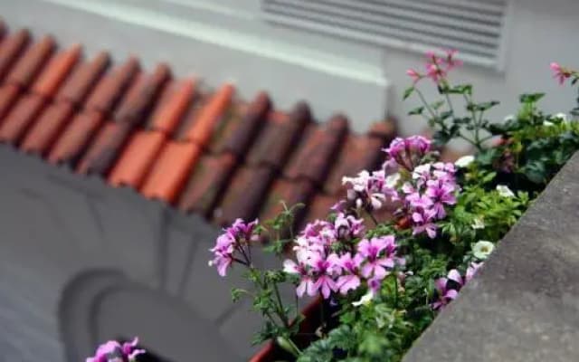 SG1 Hostel - photo 3