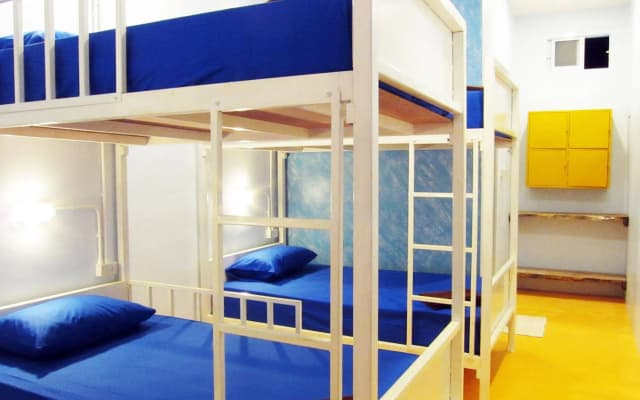 Treechart Hostel - photo 2