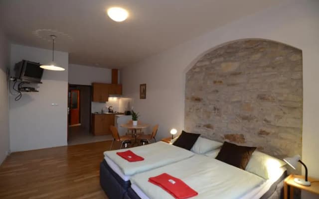 Apartments Karlin - photo 3