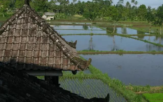 Swallow Guesthouse - photo 2