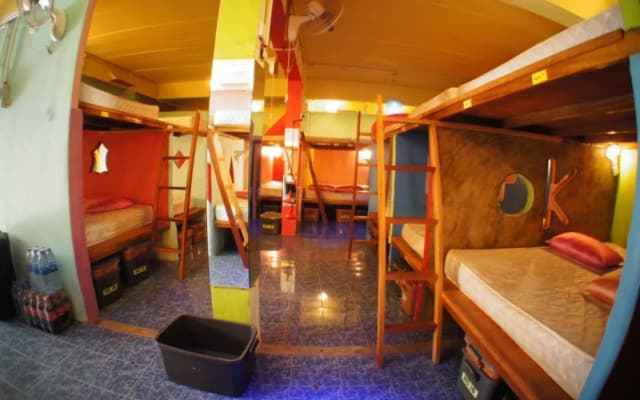 Dancing Elephant N 1 Party Hostel - photo 4