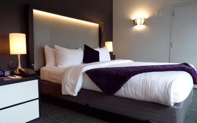 Hotel Diva - photo 5